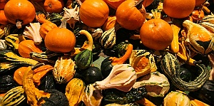 Pumpkins and Gourds