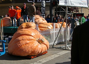 That's a Big Pumpkin
