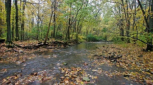 IMG_4644