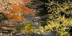 IMG_4975