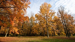 IMG_5082