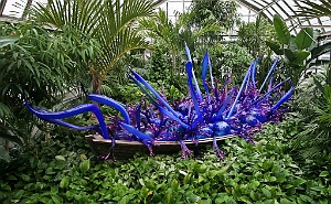 IMG_5946