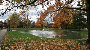 Schiller Park
